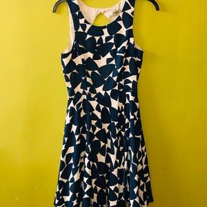 Print Avalache Function Fun Dress